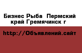 Бизнес Рыба. Пермский край,Гремячинск г.